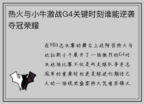 热火与小牛激战G4关键时刻谁能逆袭夺冠荣耀